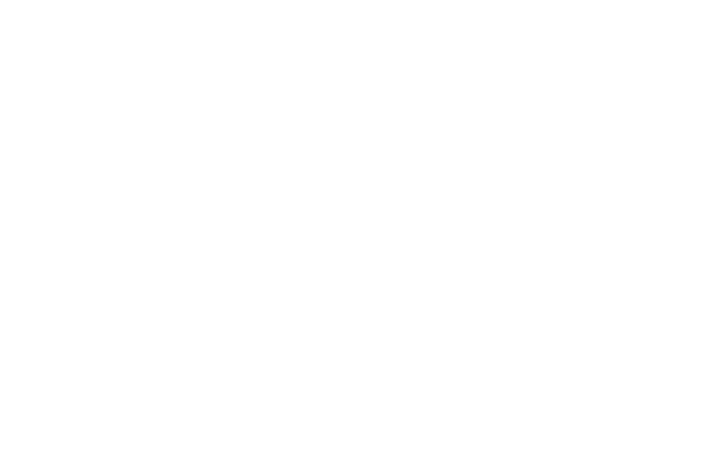 free the bears